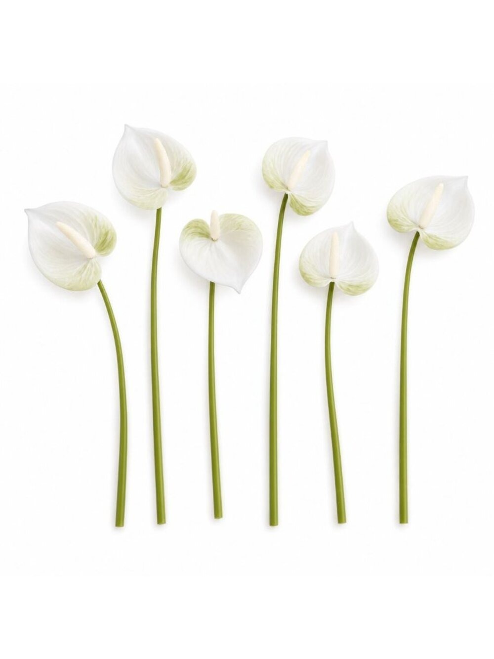 White Green Real-Touch Artificial Anthurium Stems, Set of 6, 11 Inch Faux Tropic